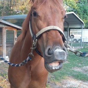 Meet your Posher, Dianna